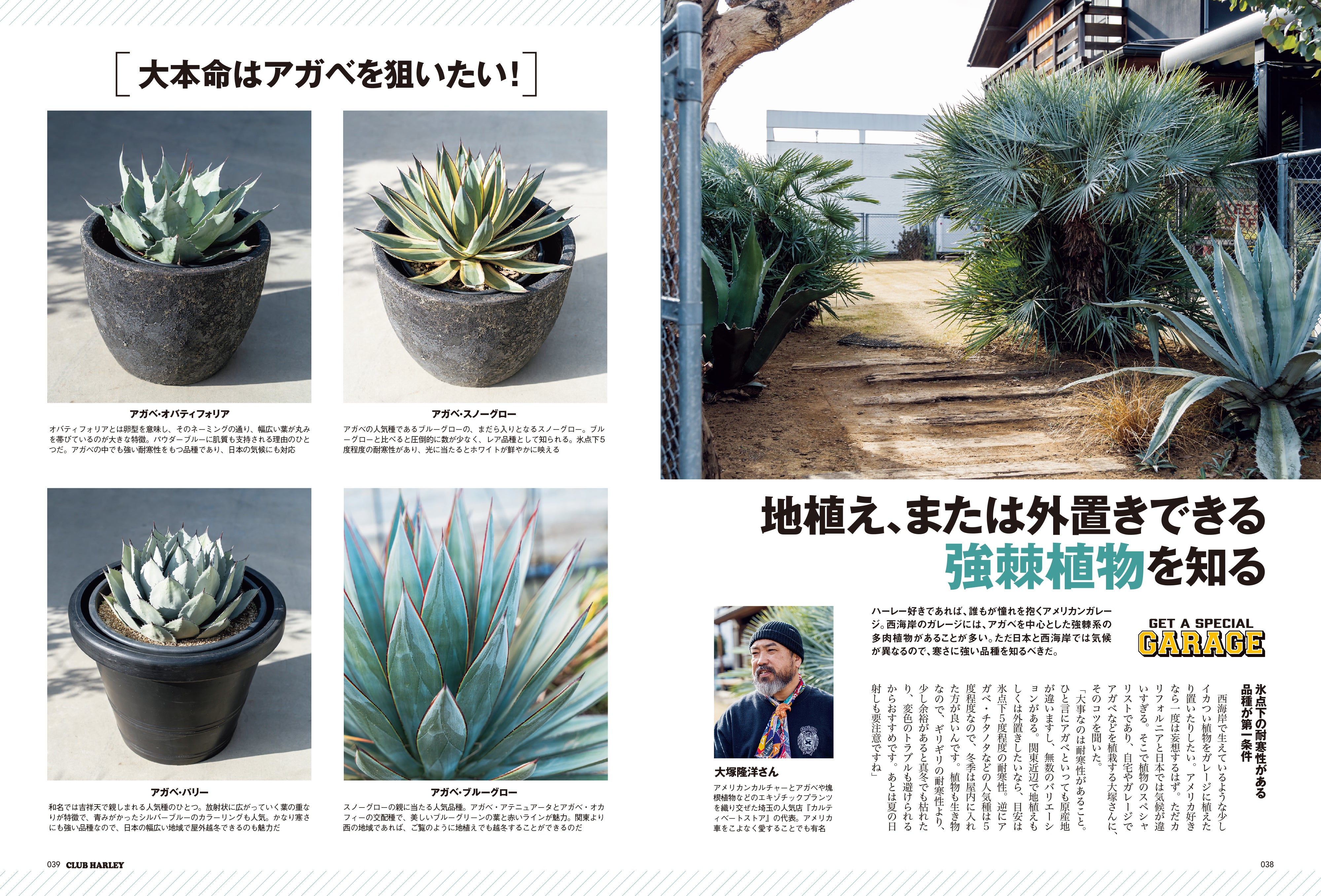 CLUB HARLEY 2026年2月号「オレだけのこだわり空間」(2026/1/14発売)