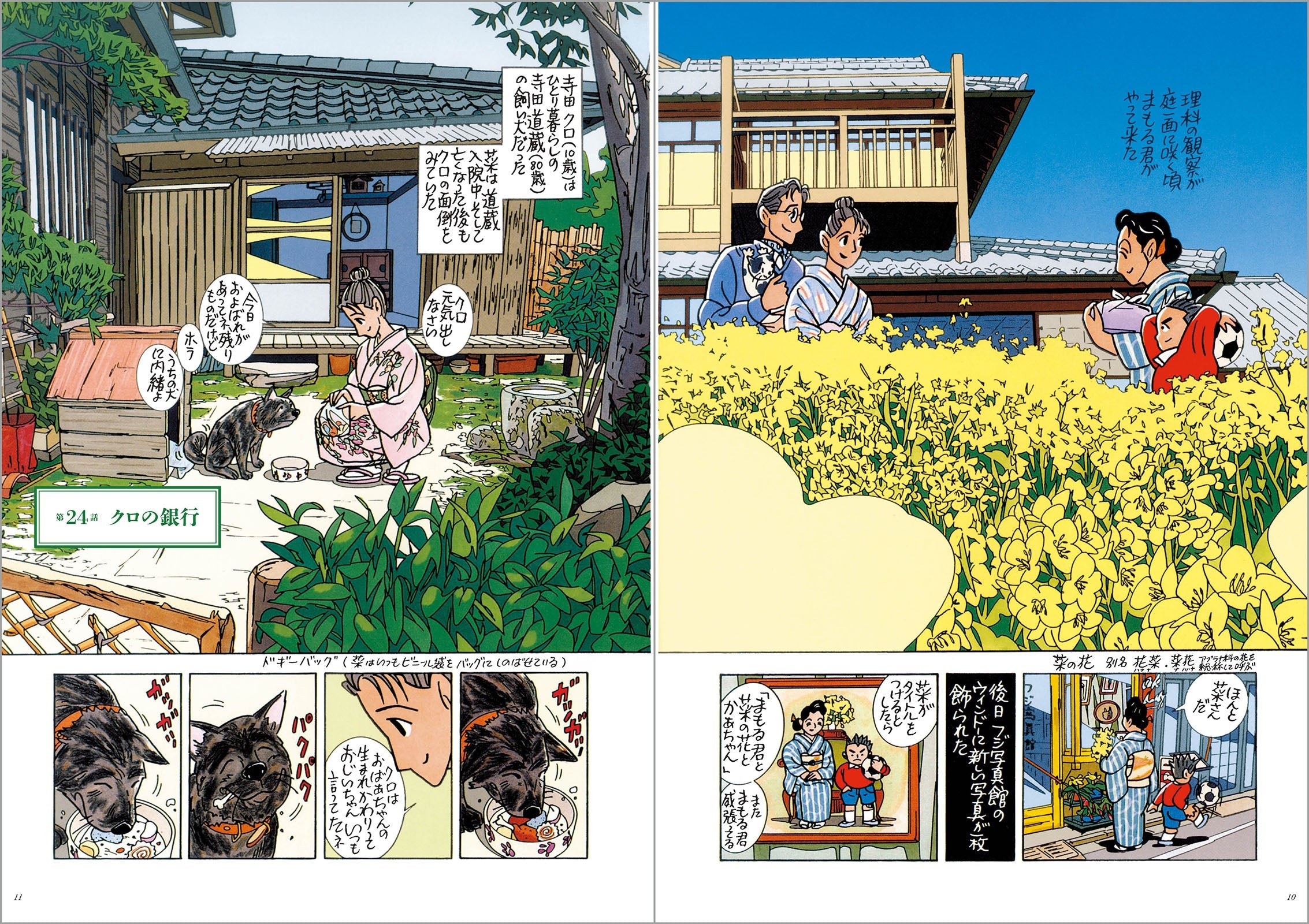 菜 Complete Box Ⅰ&Ⅱ 菜 Complete Edition(全6巻セット)