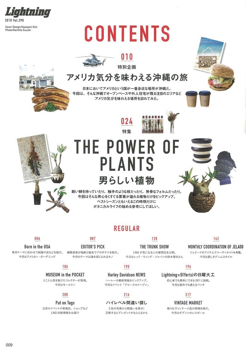 Lightning 2018年6月号 Vol.290「男らし植物」(2018/4/28発売)|メンズファッション誌「Lightning」公式オンラインストア