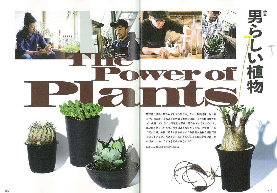 Lightning 2018年6月号 Vol.290「男らし植物」(2018/4/28発売)|メンズファッション誌「Lightning」公式オンラインストア