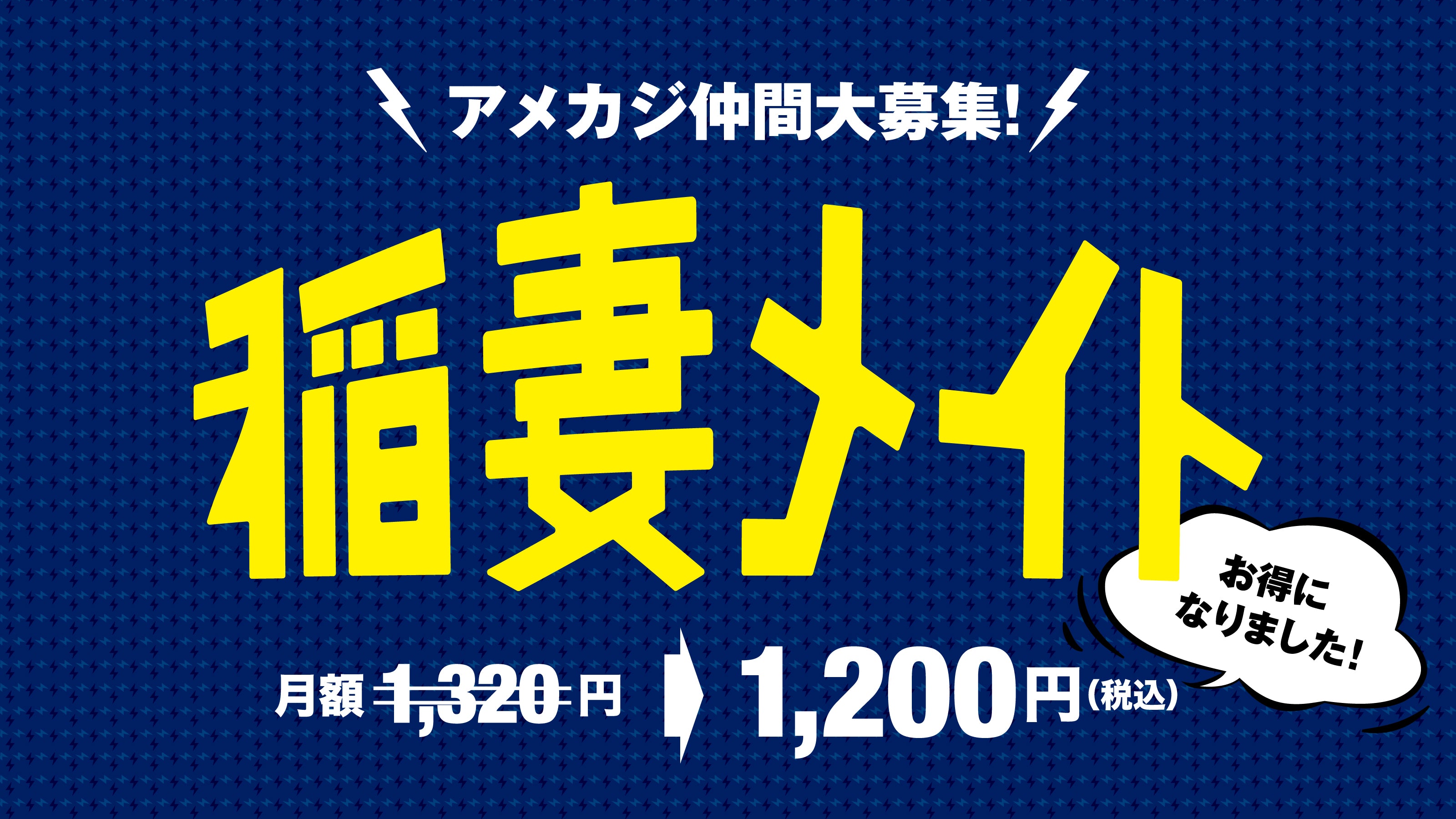 稲妻メイト募集中