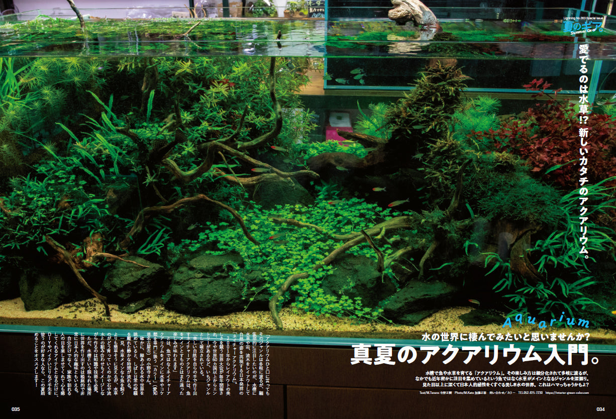 Lightning 2023年9月号 Vol.353「夏のギア。」（2023/7/28発売）