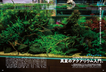 Lightning 2023年9月号 Vol.353「夏のギア。」（2023/7/28発売）