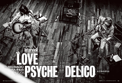 Vintage Guitars Gibson Acoustic Guitar Catalog