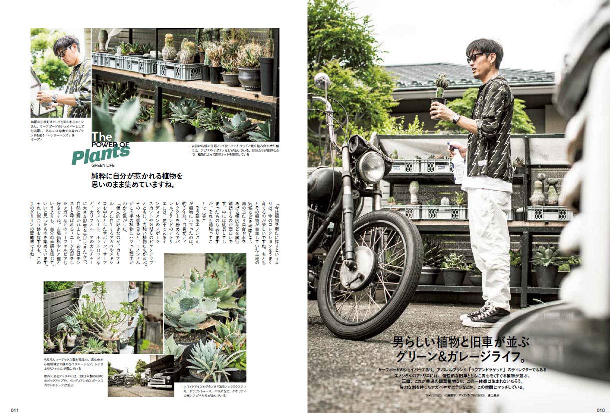 【復刻版】Lightning Archives GREEN LIFE (グリーンライフ)