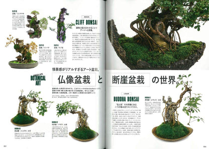 【復刻版】Lightning Archives GREEN LIFE (グリーンライフ)