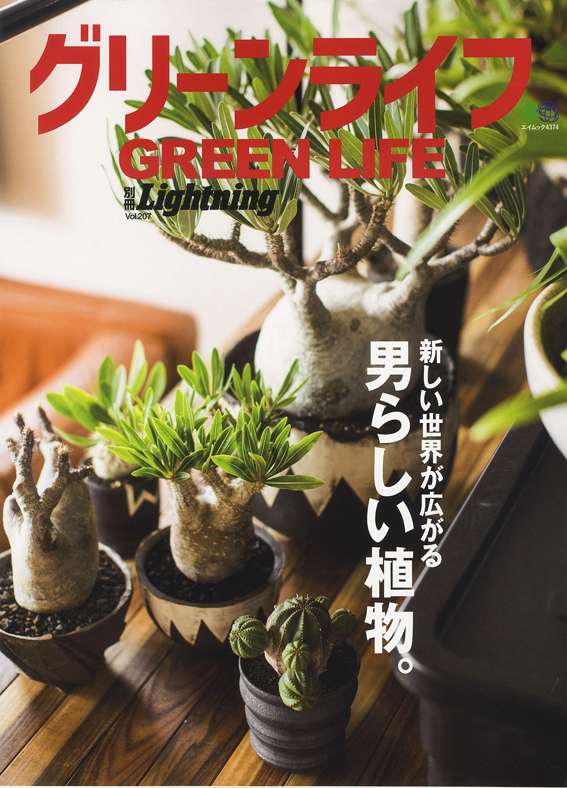 送料込み 貴重 ライトニング lightning グリーンライフ 別冊Lightning Vol.207「グリーンライフ」（2019/6/17発売